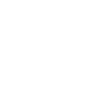 saralee